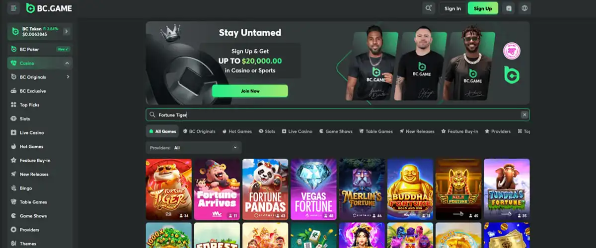 Tiger slot interface on desktop and mobile